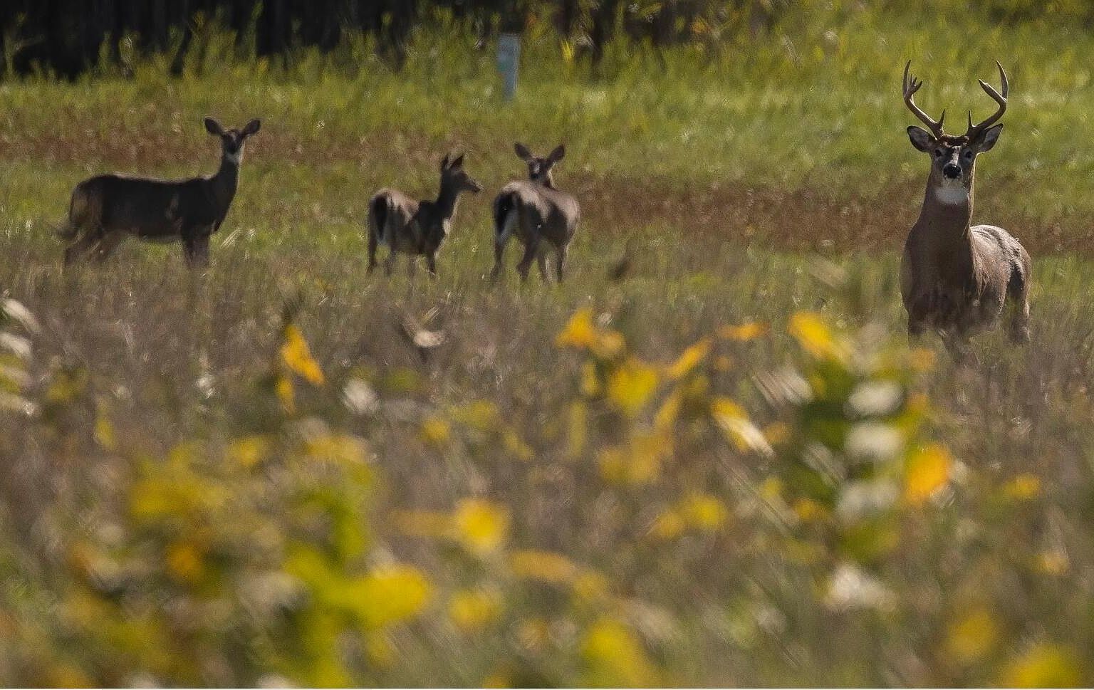 8079 Wayside Creamery Rd Alderson, WV 24910 - Thumbnail 5