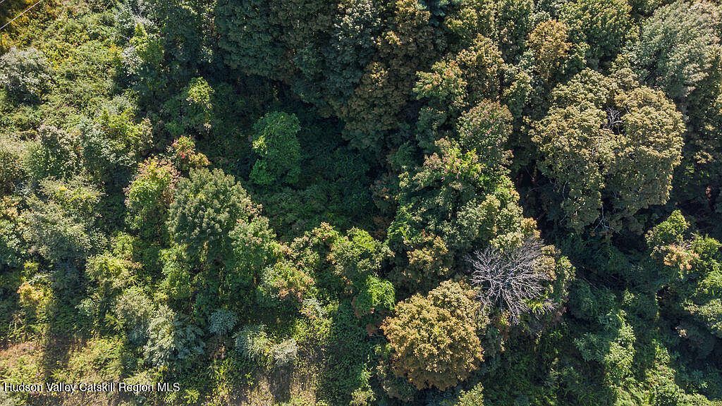 22 Old State Rte Amenia, NY 12501 - Thumbnail 5