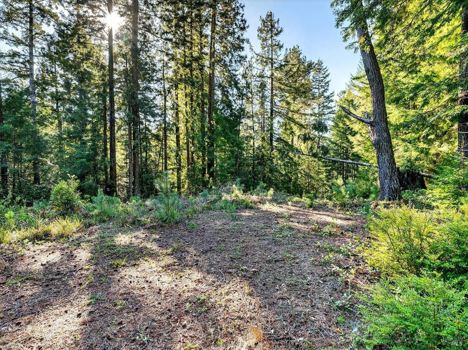 44411 Little River Airport Rd Little River, CA 95456 - Thumbnail 5