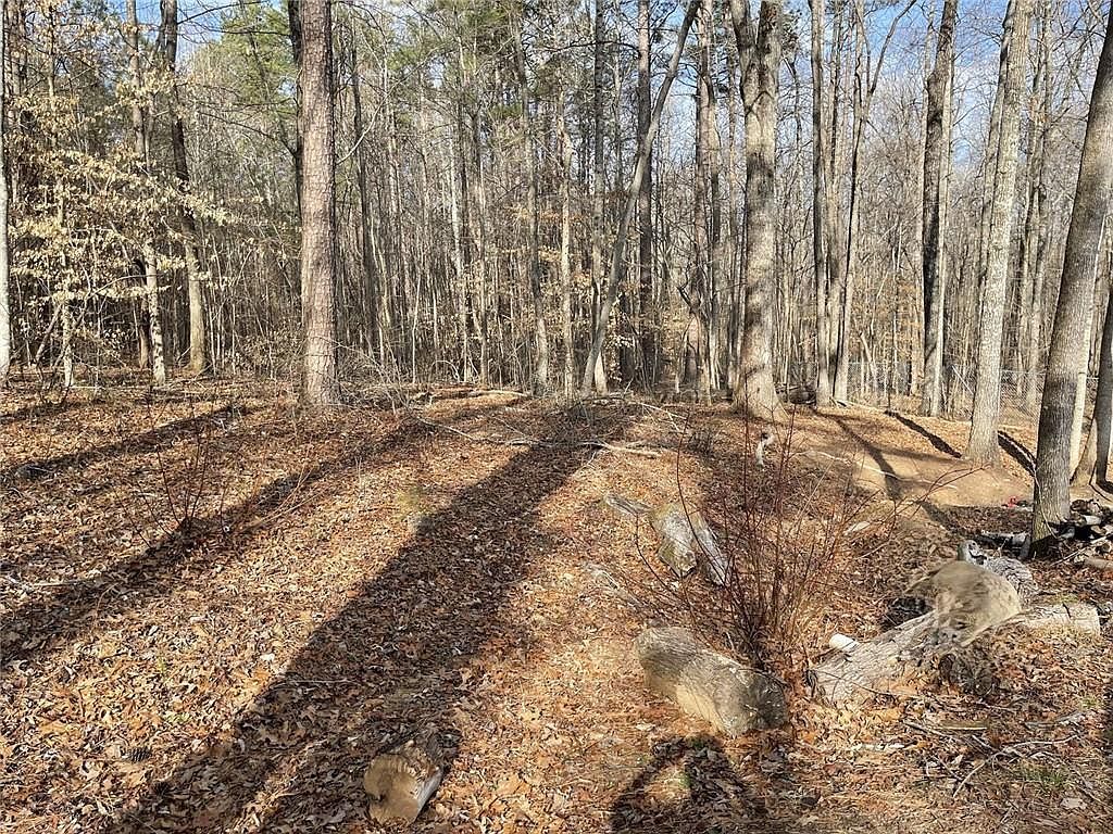 83 Twin Creeks Dr Bremen, GA 30110 - Thumbnail 5