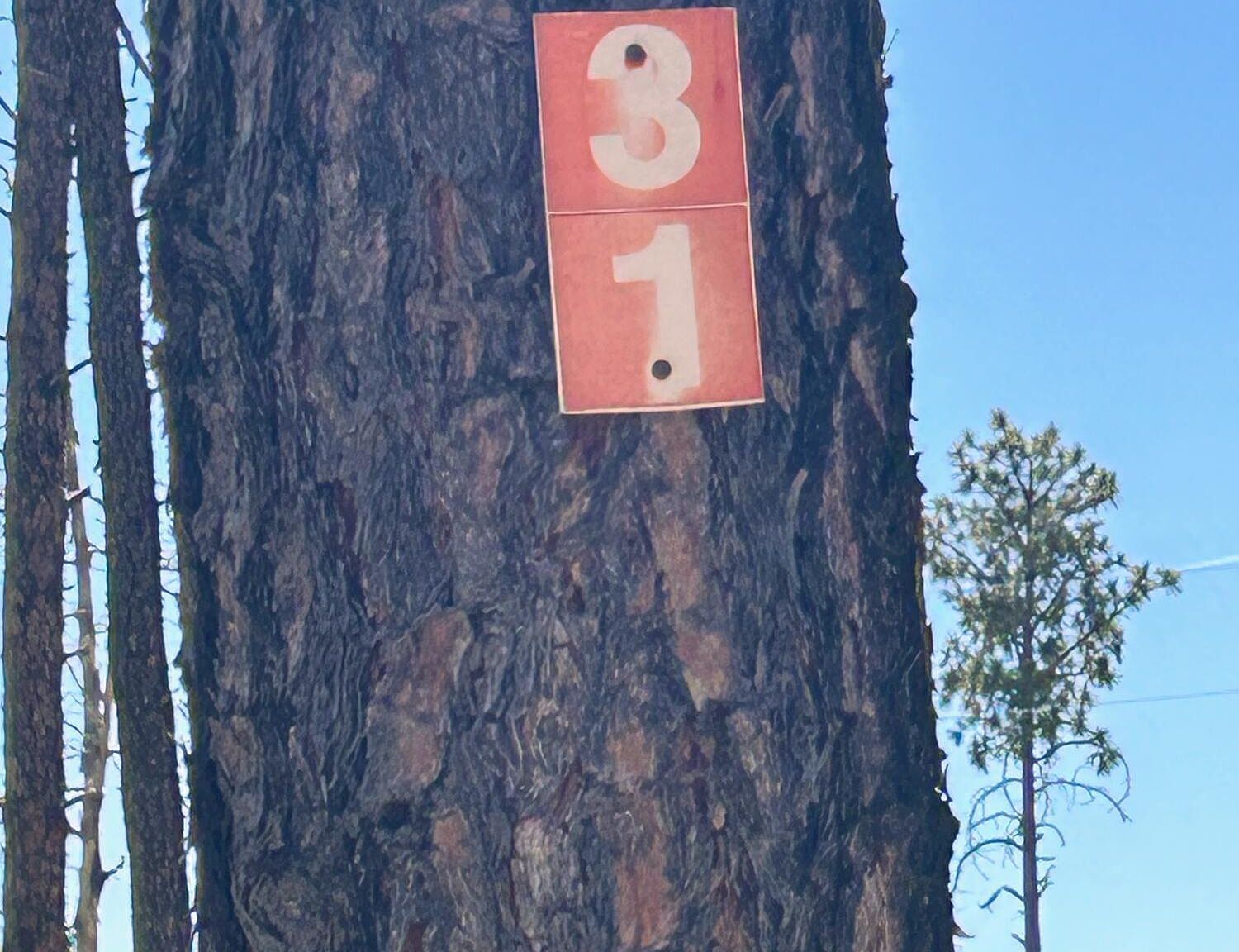 31 Bahamas Dr Timberon, NM 88350 - Thumbnail 5