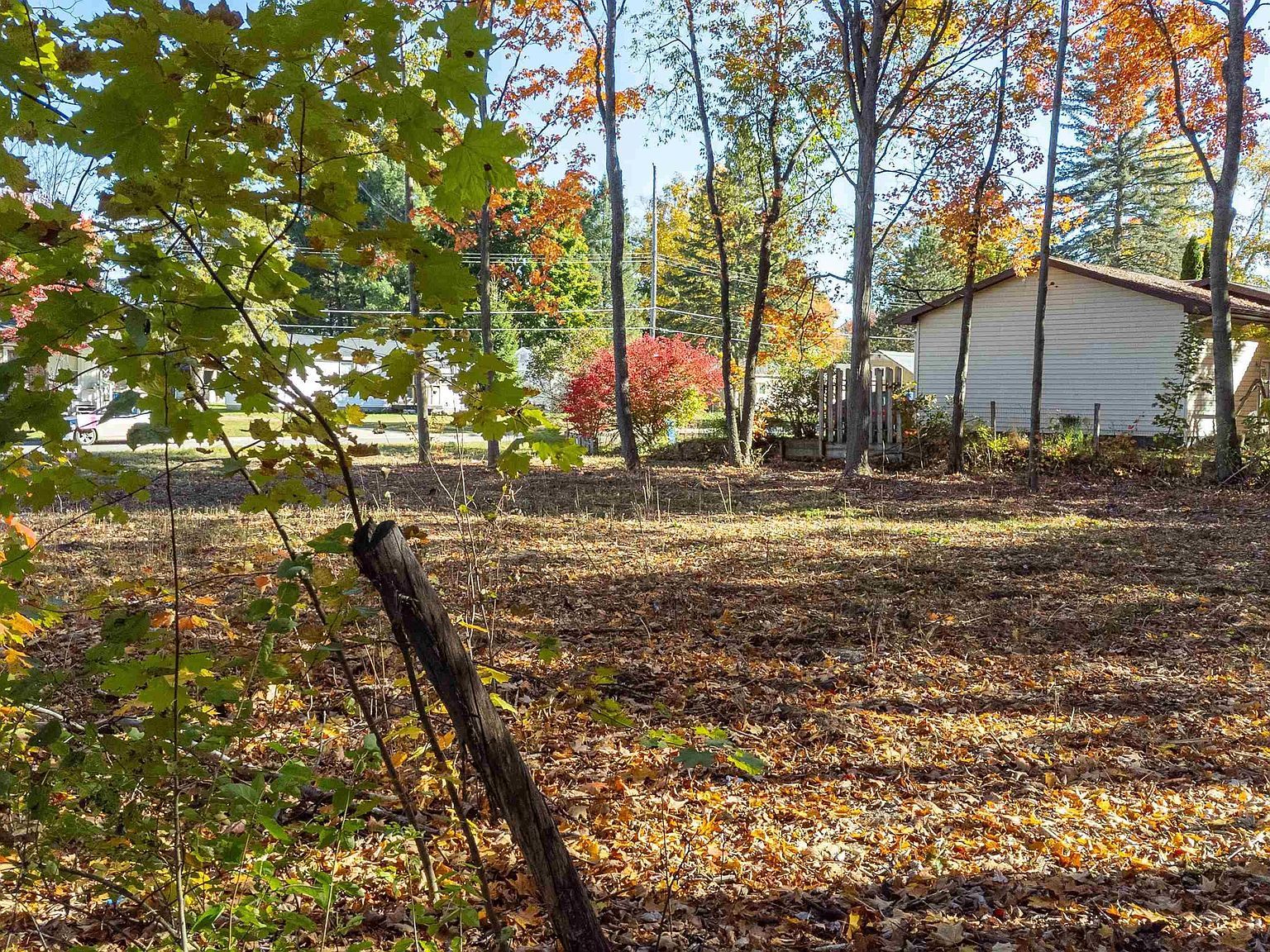 223 Alexander St Cadillac, MI 49601 - Thumbnail 5