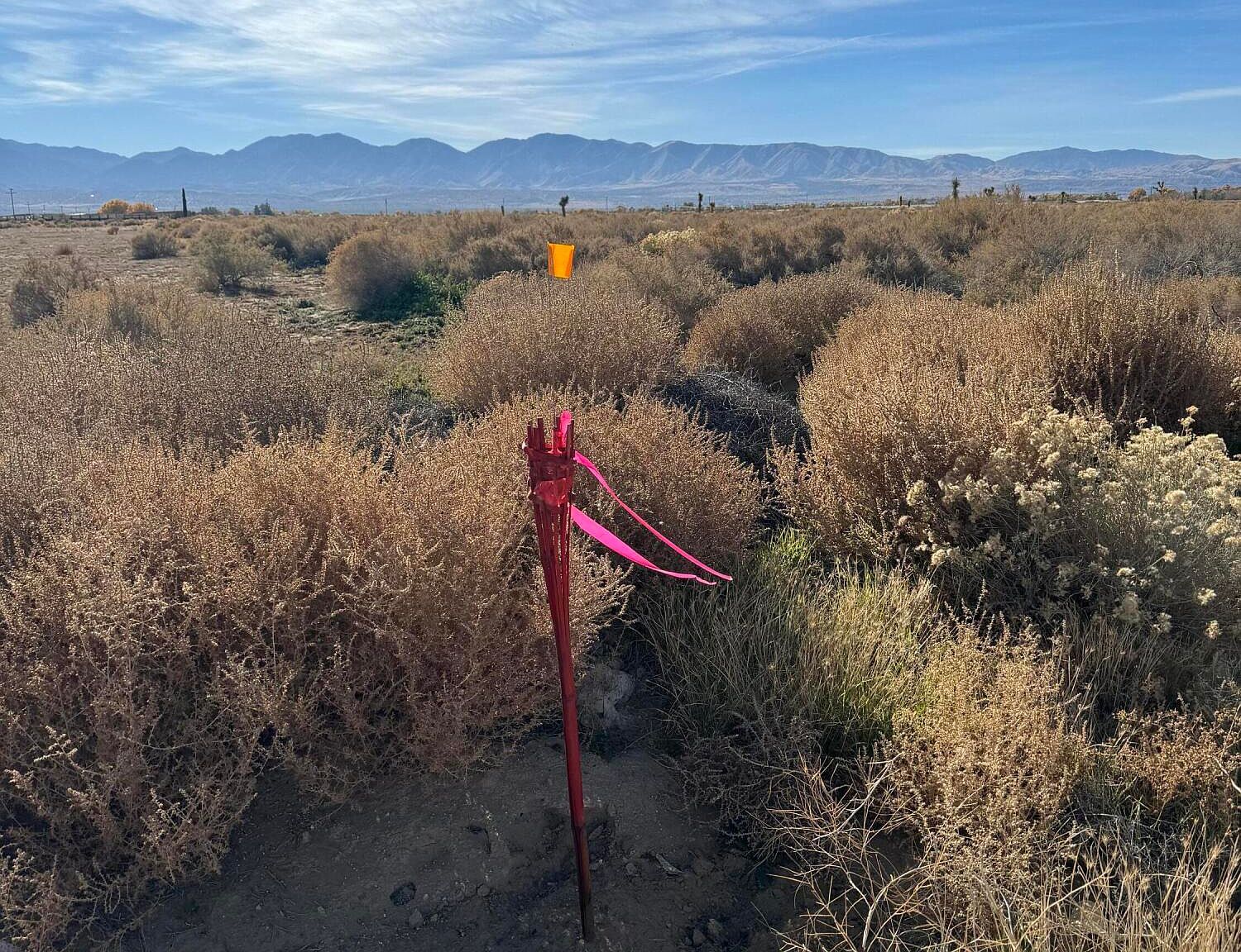 Palmdale Boulevard Vic St #155 Palmdale, CA 93591 - Thumbnail 5