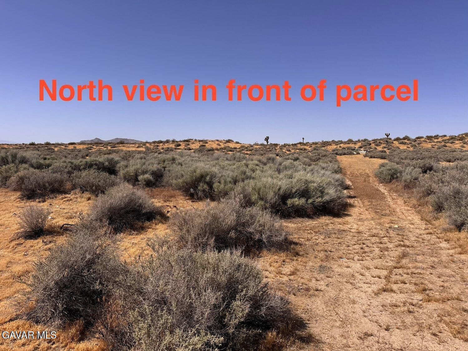 Corner Ave #P2-226 Palmdale, CA 93591 - Thumbnail 5