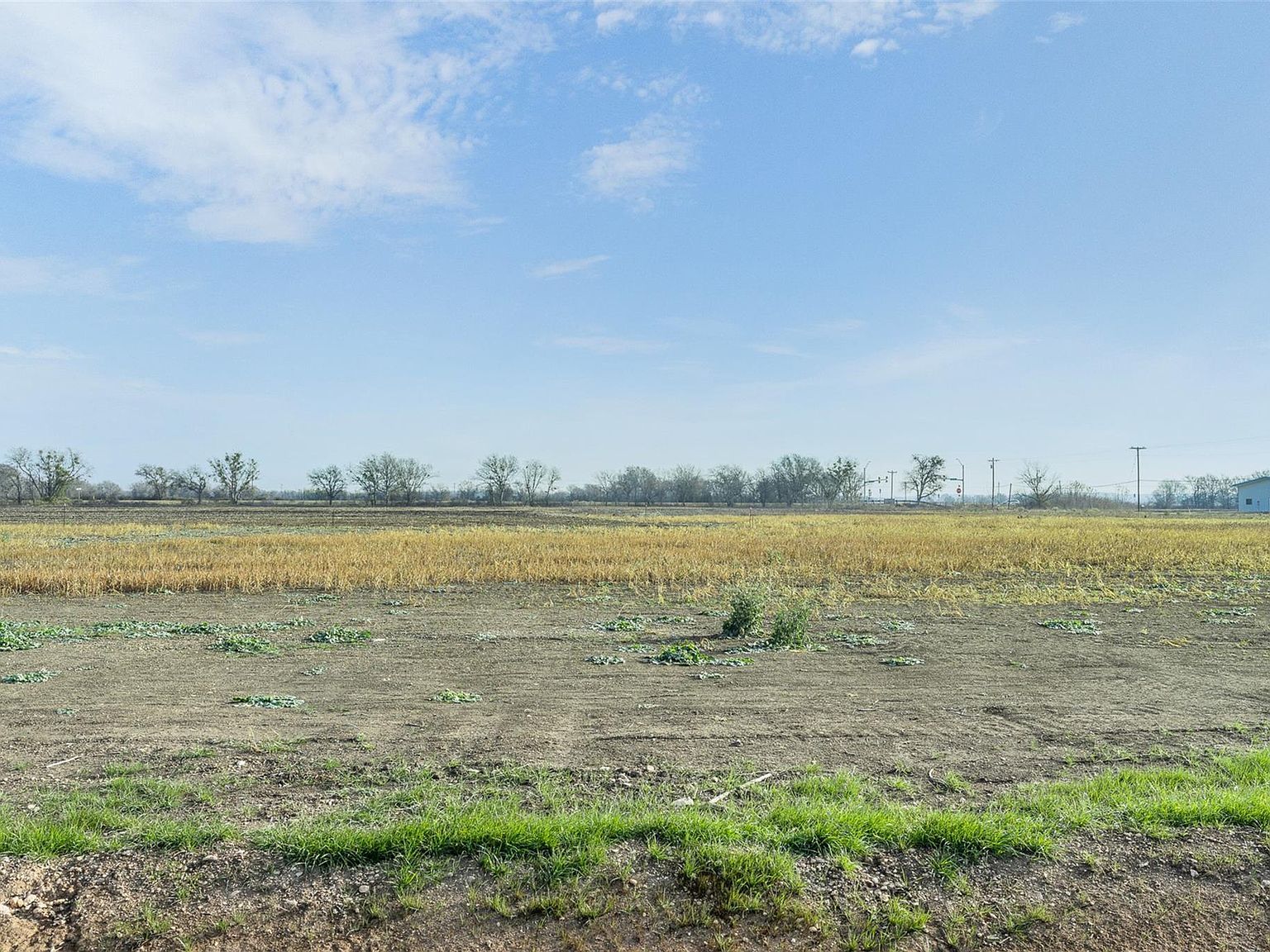 333 Quail Run Rd Martindale, TX 78655 - Thumbnail 5