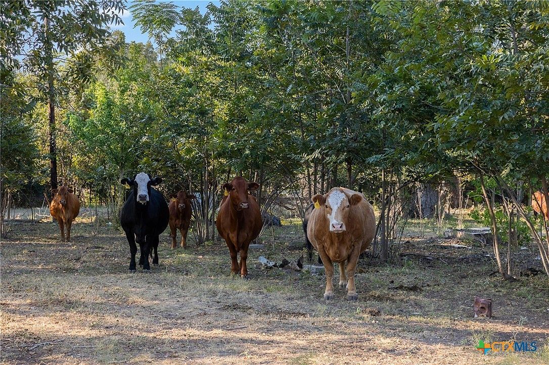 217 Robin Ranch Rd Lockhart, TX 78644 - Thumbnail 5