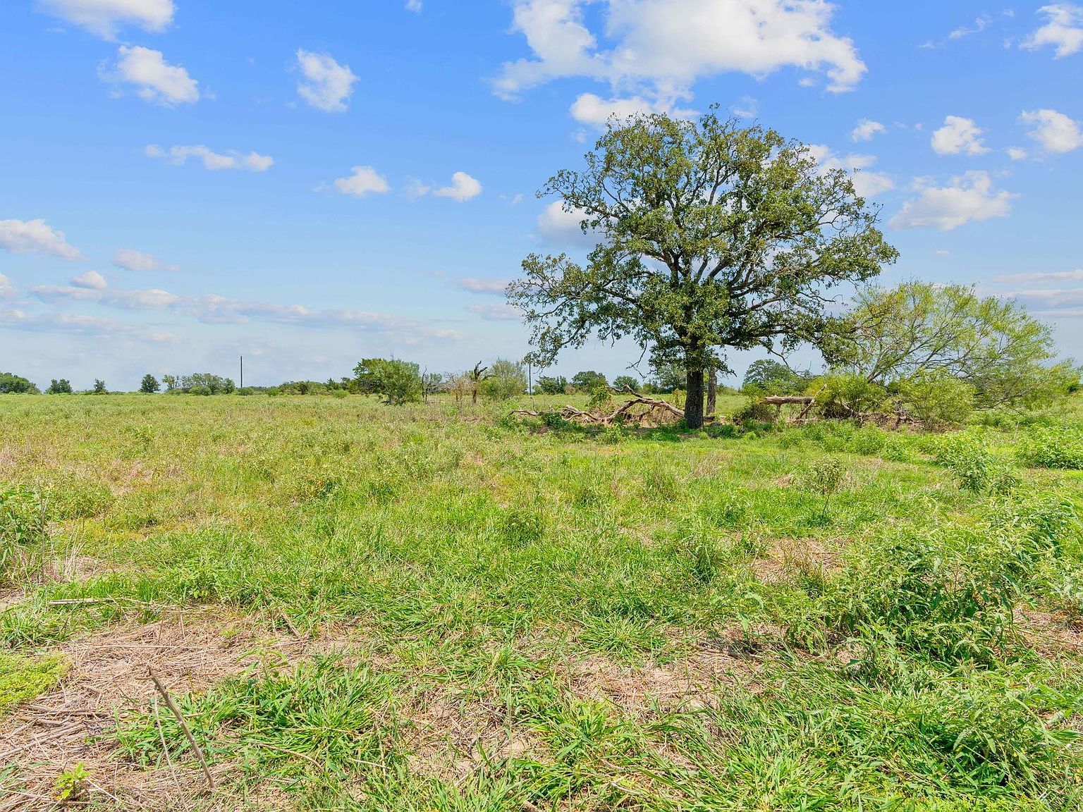 21 County Road 402 Flatonia, TX 78941 - Thumbnail 5