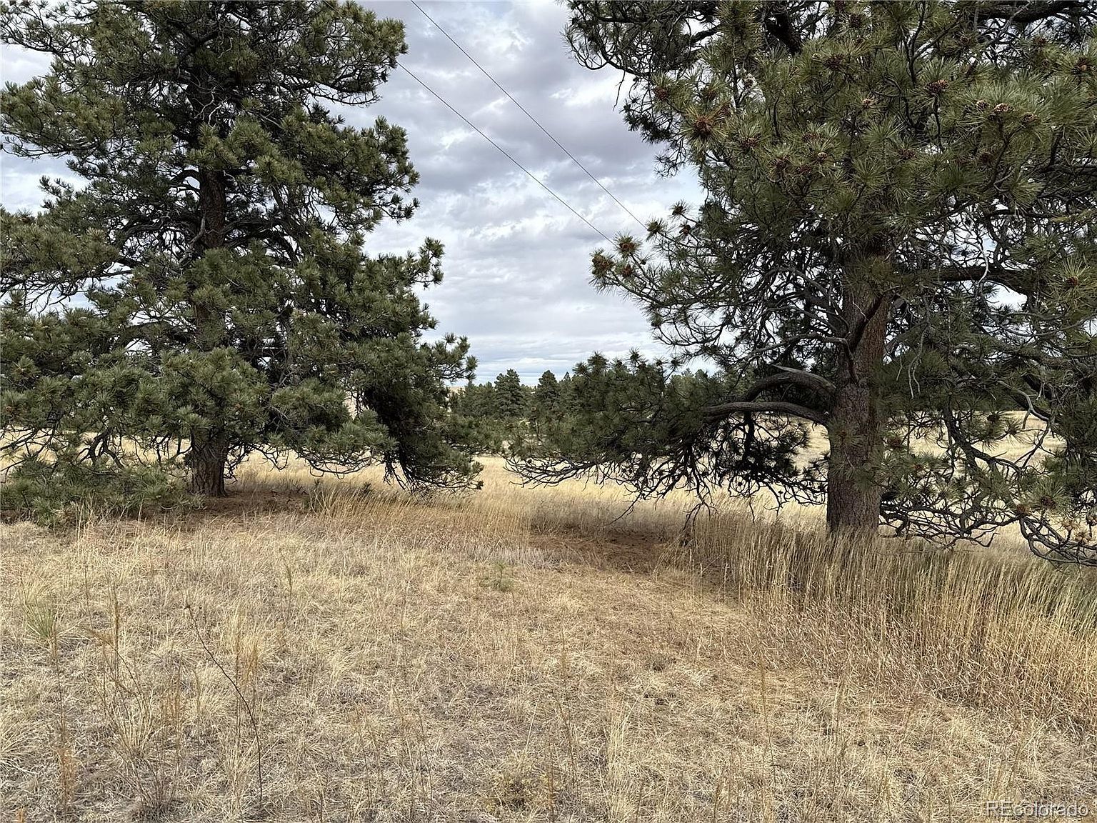 39080 County Road 21 Elizabeth, CO 80107 - Thumbnail 5