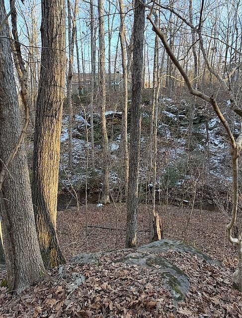 5255 Red Hawk Dr Lot 114 Gainesville, GA 30507 - Thumbnail 5