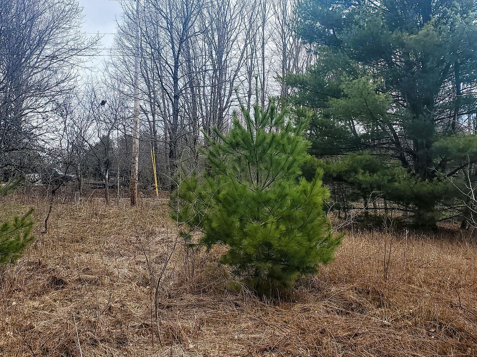 5 Dexter Rd Cambridge, ME 04923 - Thumbnail 5
