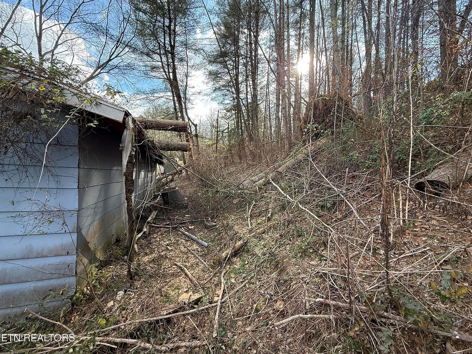 2143 Carter St Big Stone Gap, VA 24219 - Thumbnail 5