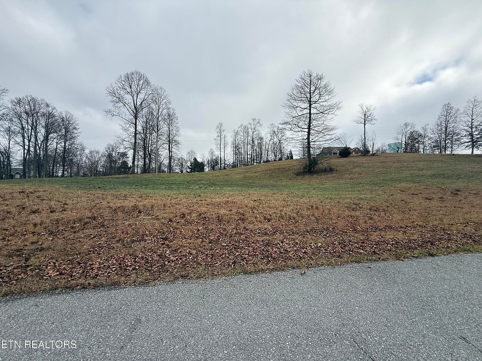 LOT 29 Oak Point Dr Jonesville, VA 24263 | Land/Lot