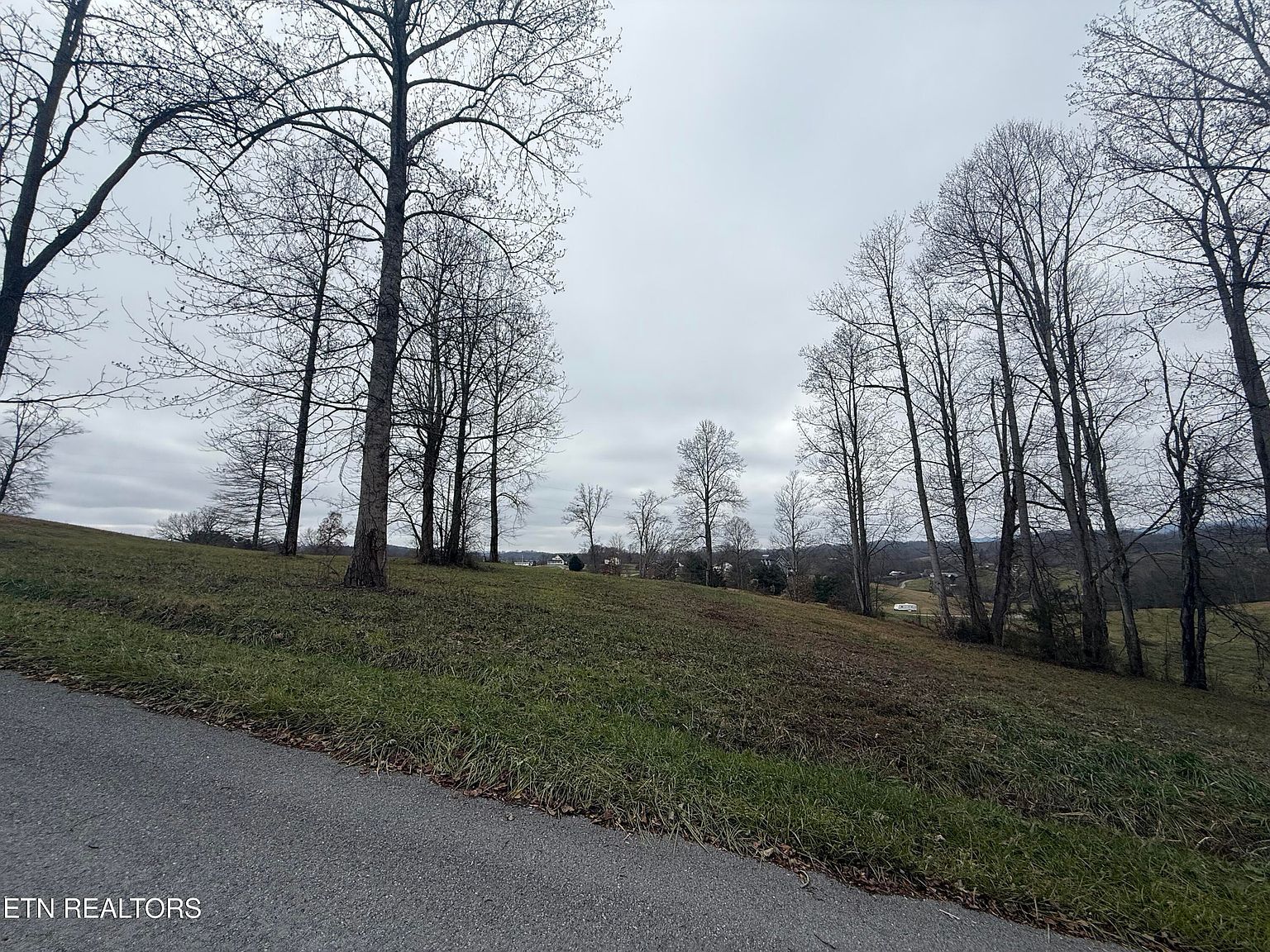 LOT 23 Oak Point Dr Jonesville, VA 24263  | Land/Lot