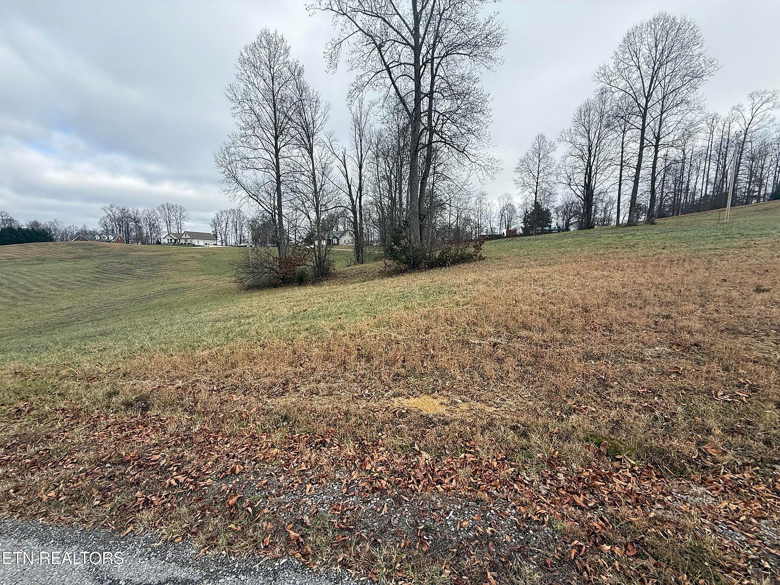 LOT 28 Oak Point Dr Jonesville, VA 24263 | Land/Lot
