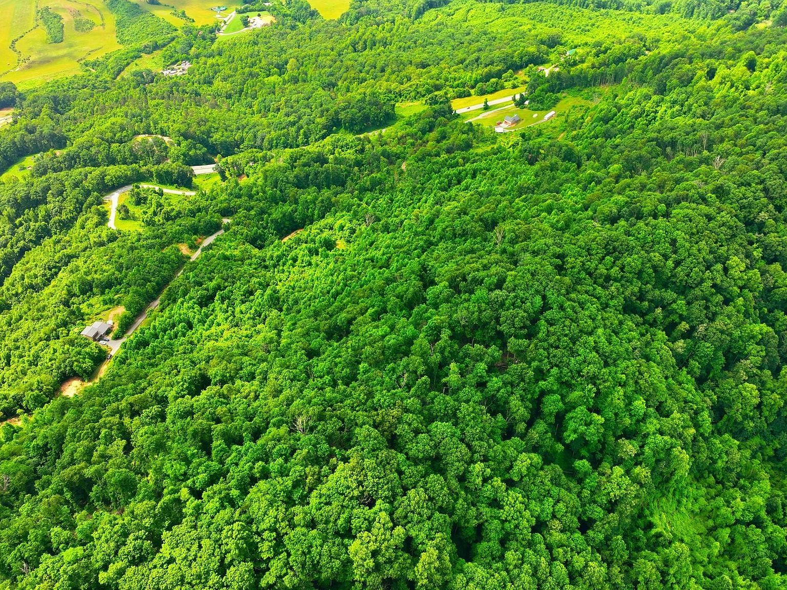 Tbd Majestic Dr Duffield, VA 24244 - Thumbnail 5
