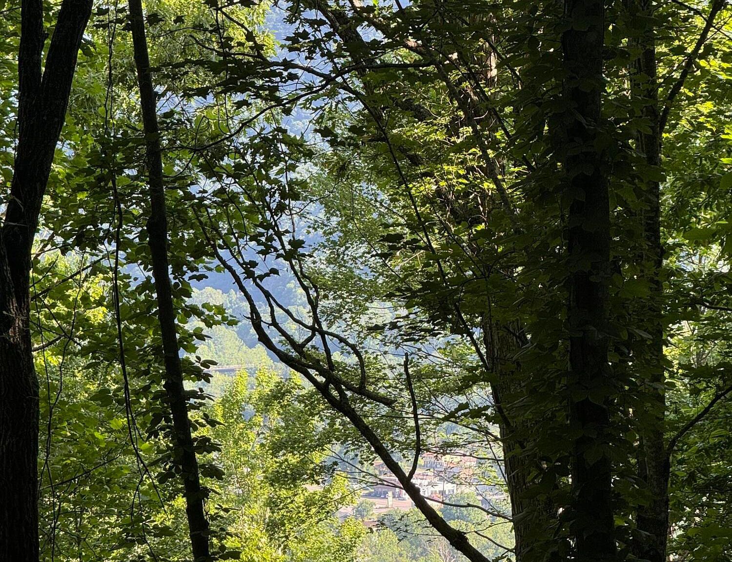 Wallens Ridge Rd Big Stone Gap, VA 24219 - Thumbnail 5