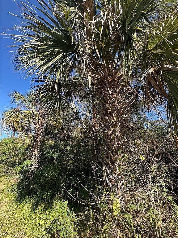 194 Ray St #13 Pt Charlotte, FL 33954 - Thumbnail 5