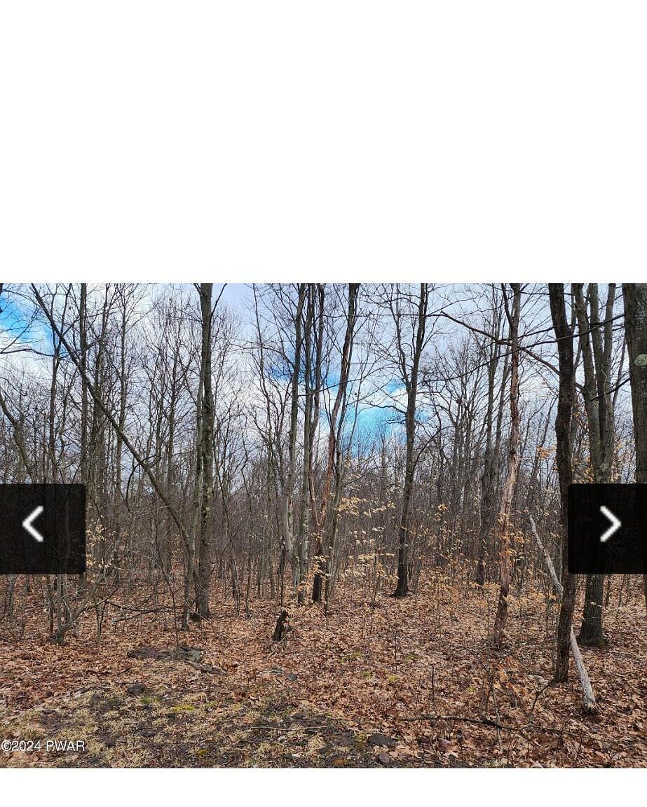 193 Highland Rd Roaring Brook, PA 18444 - Thumbnail 5
