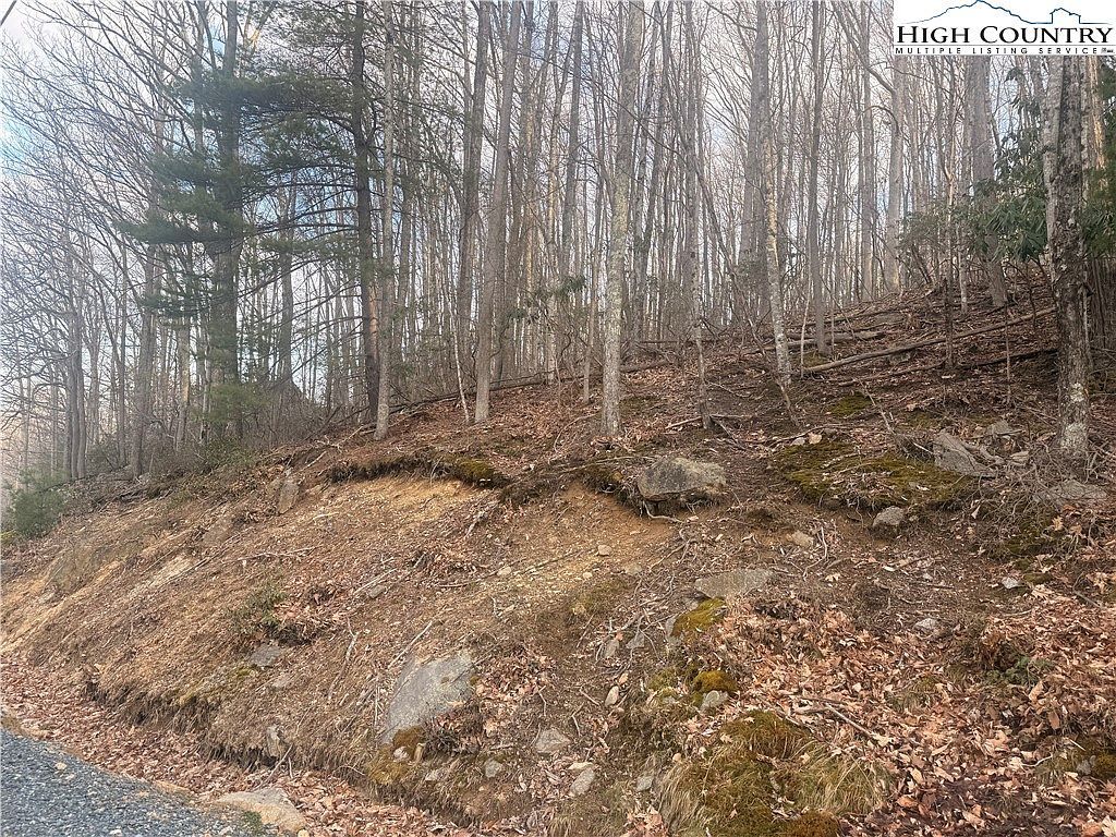 212 Jackpine Rd Banner Elk, NC 28604 - Thumbnail 5