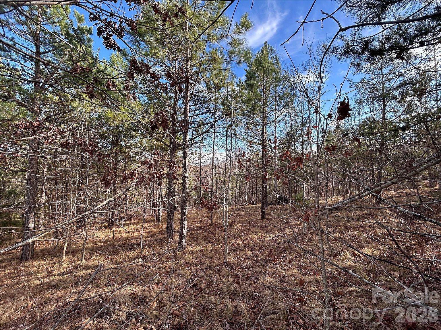 254 Stoney Creek Dr #224 Nebo, NC 28761 - Thumbnail 5