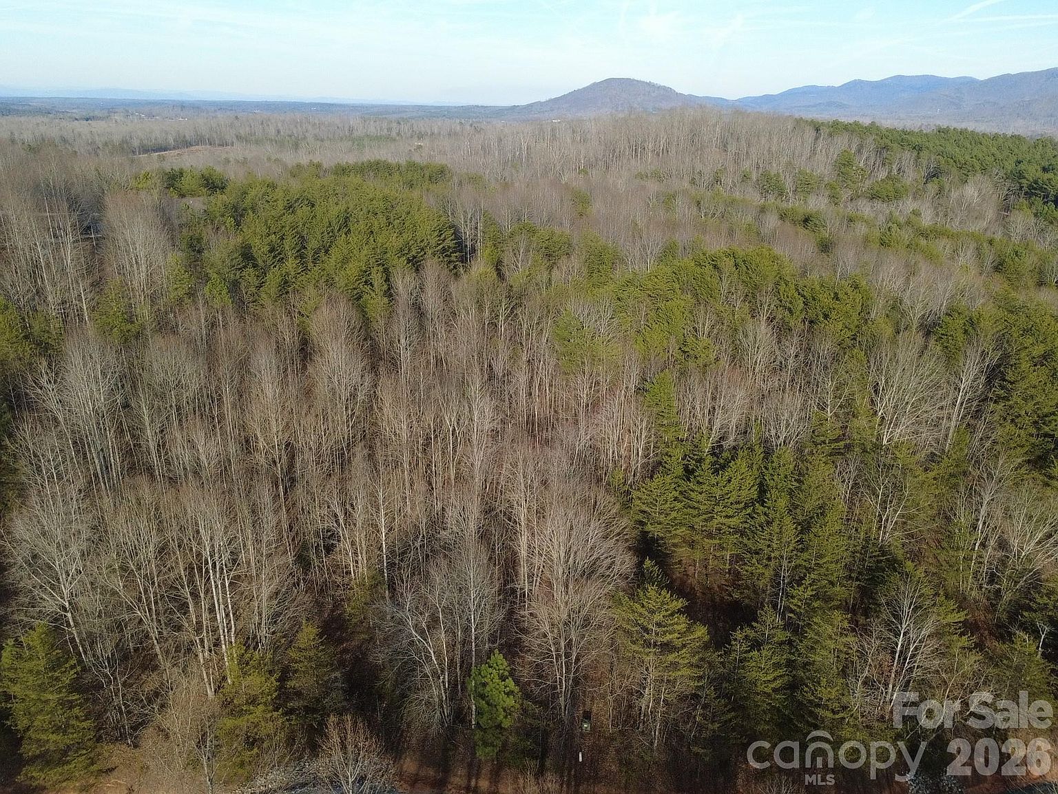 147 Double Eagle Dr #23 Nebo, NC 28761 - Thumbnail 5