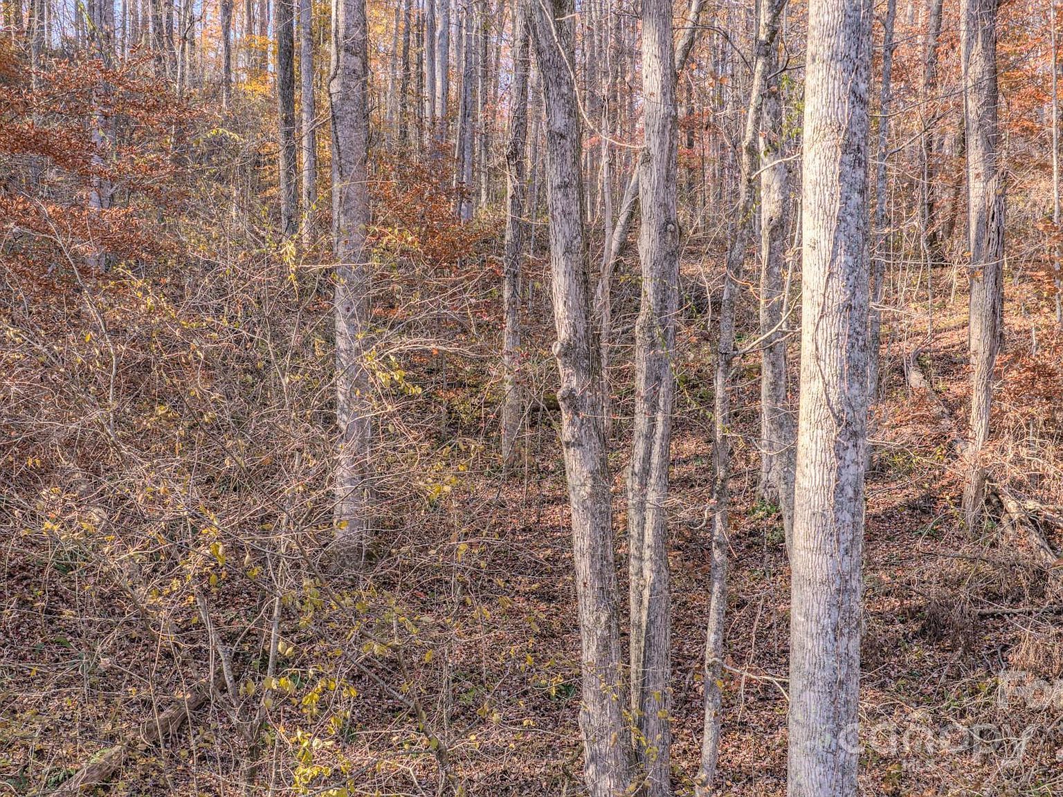 44 Alfalfa Trl Fairview, NC 28730 - Thumbnail 5