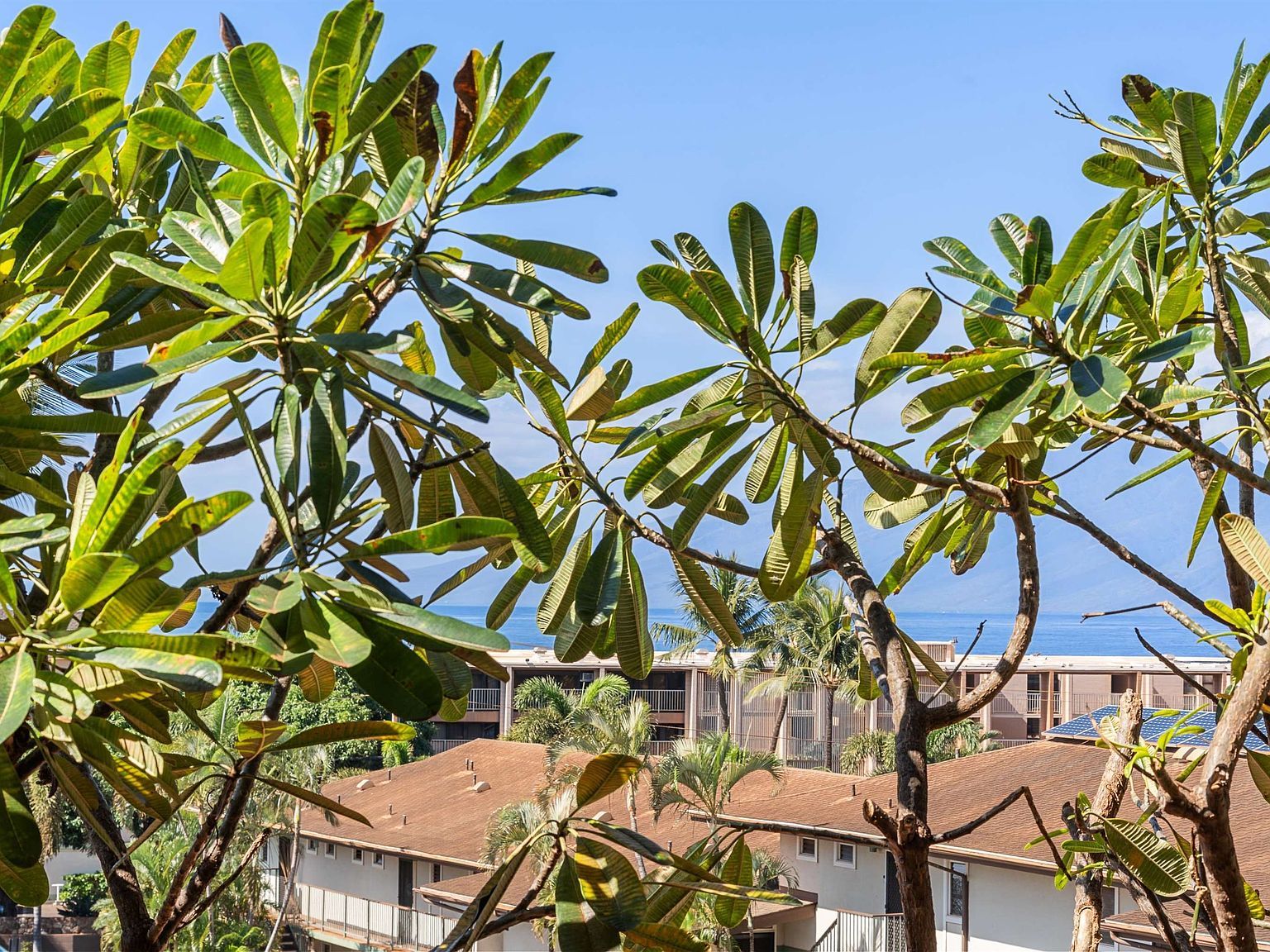 3740 Lower Honoapiilani Rd APT C207 Lahaina, HI 96761 - Thumbnail 5