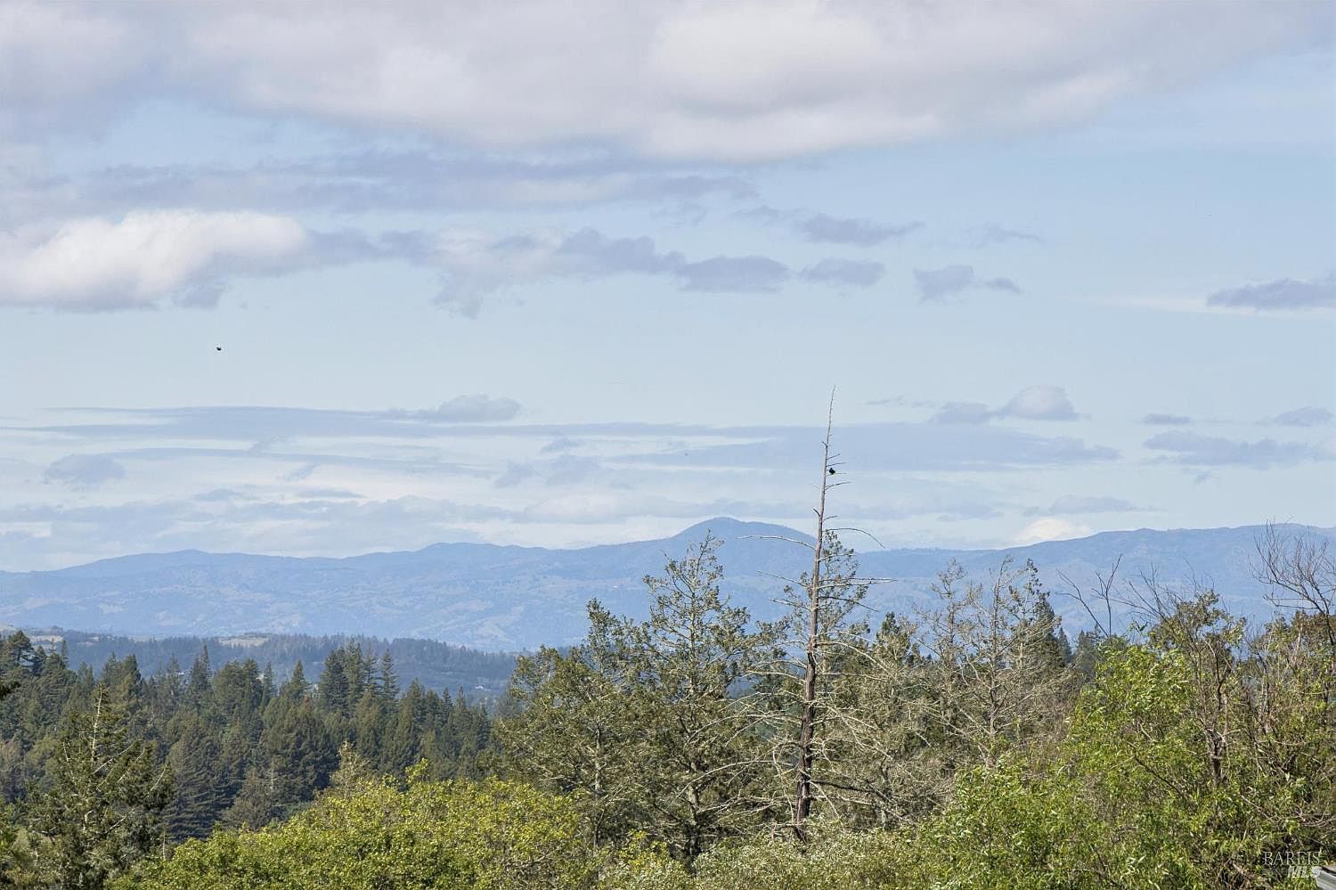 11740 Occidental Rd Sebastopol, CA 95472 - Thumbnail 5