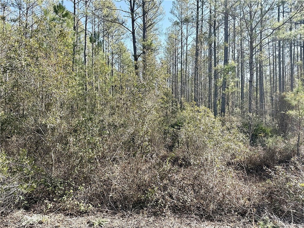 18 Satilla Plantation Waynesville, GA 31566  | Land/Lot