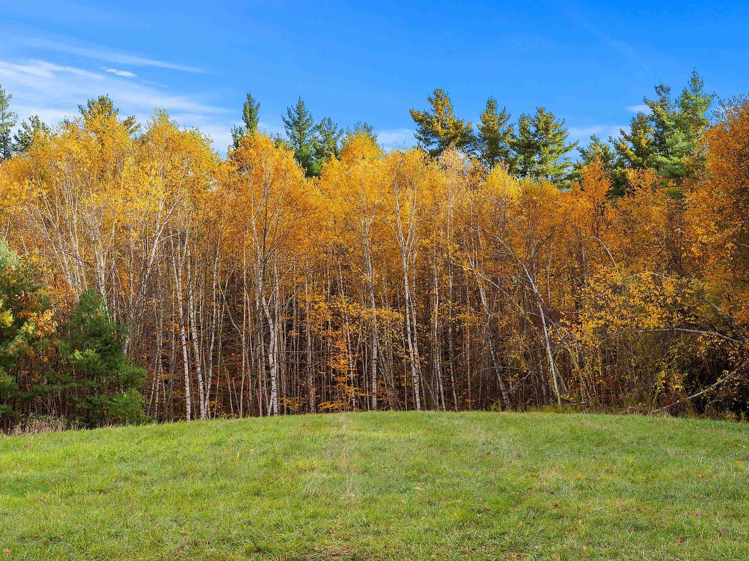 8A Stonegate Farm Rd Temple, NH 03084 - Thumbnail 5