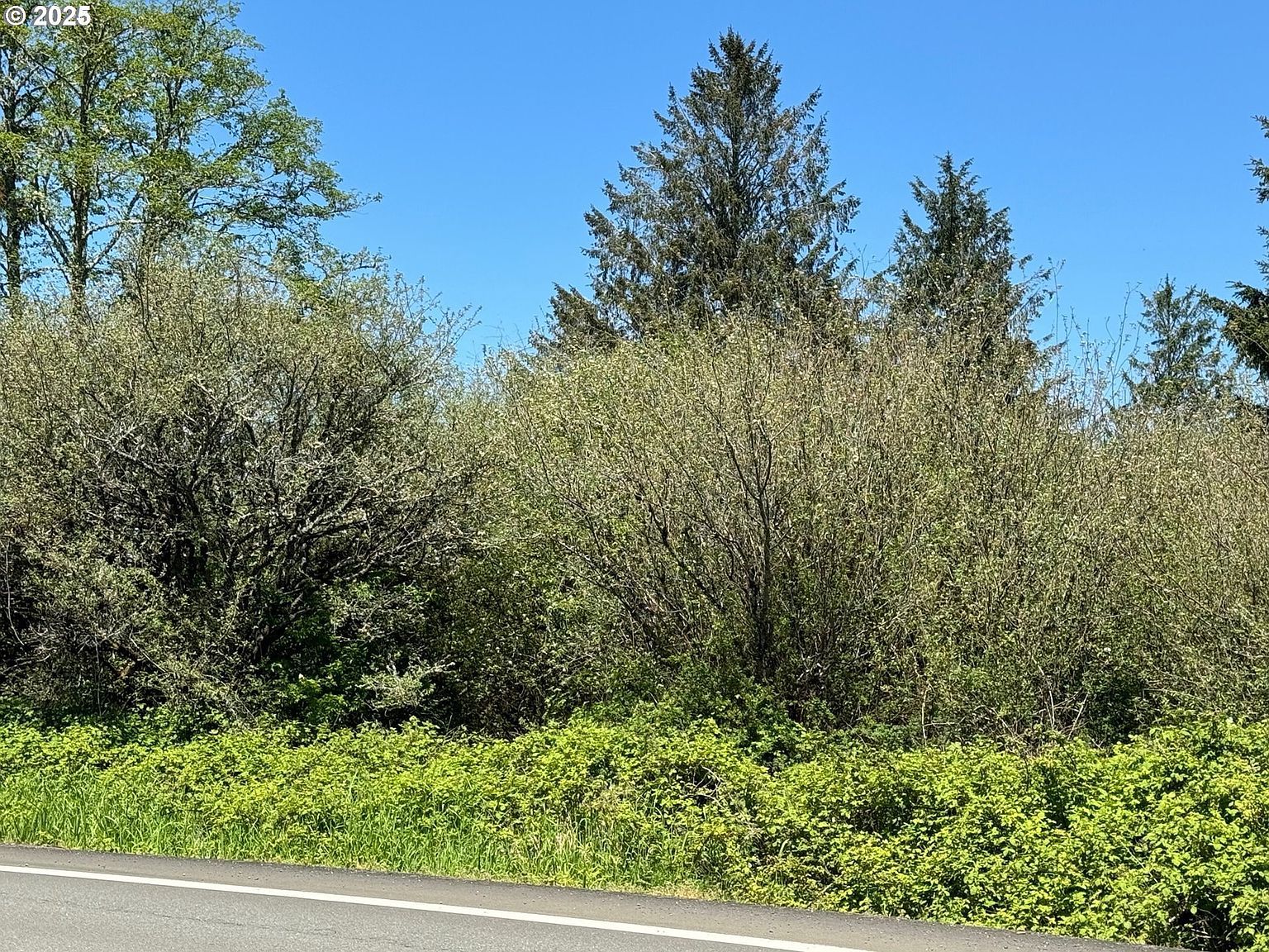 NW Warrenton Dr Warrenton, OR 97146 - Thumbnail 5