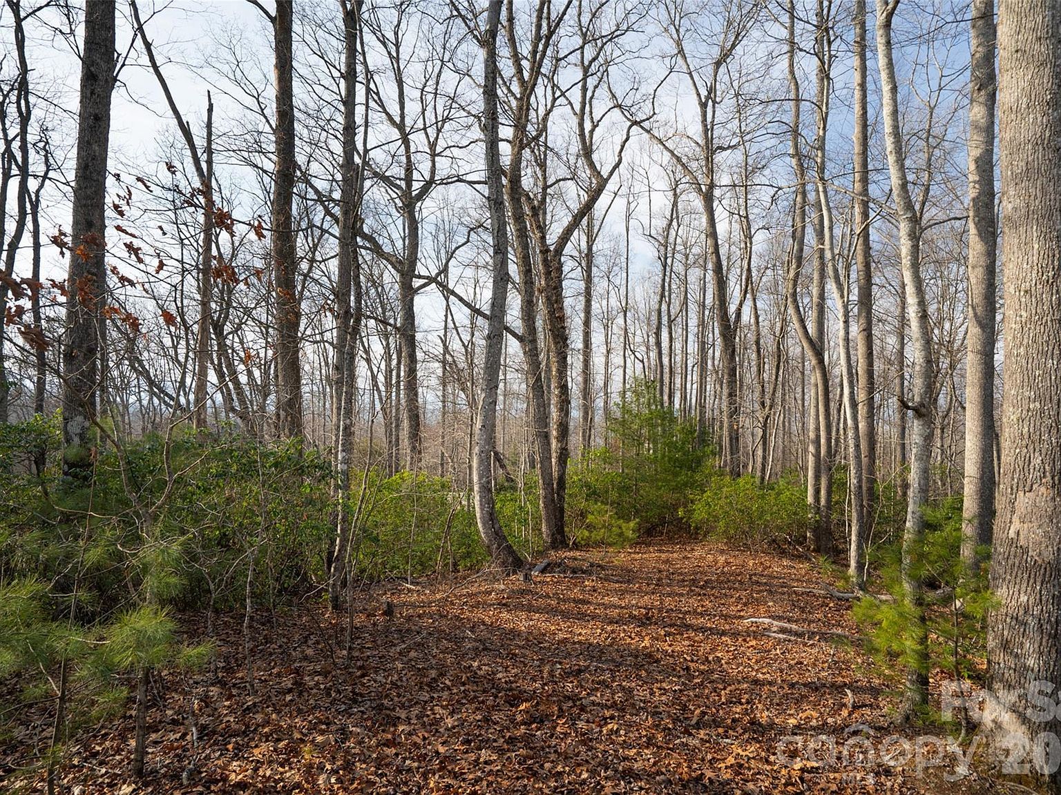 29 Open Ridge Trl Pisgah Forest, NC 28768 - Thumbnail 5