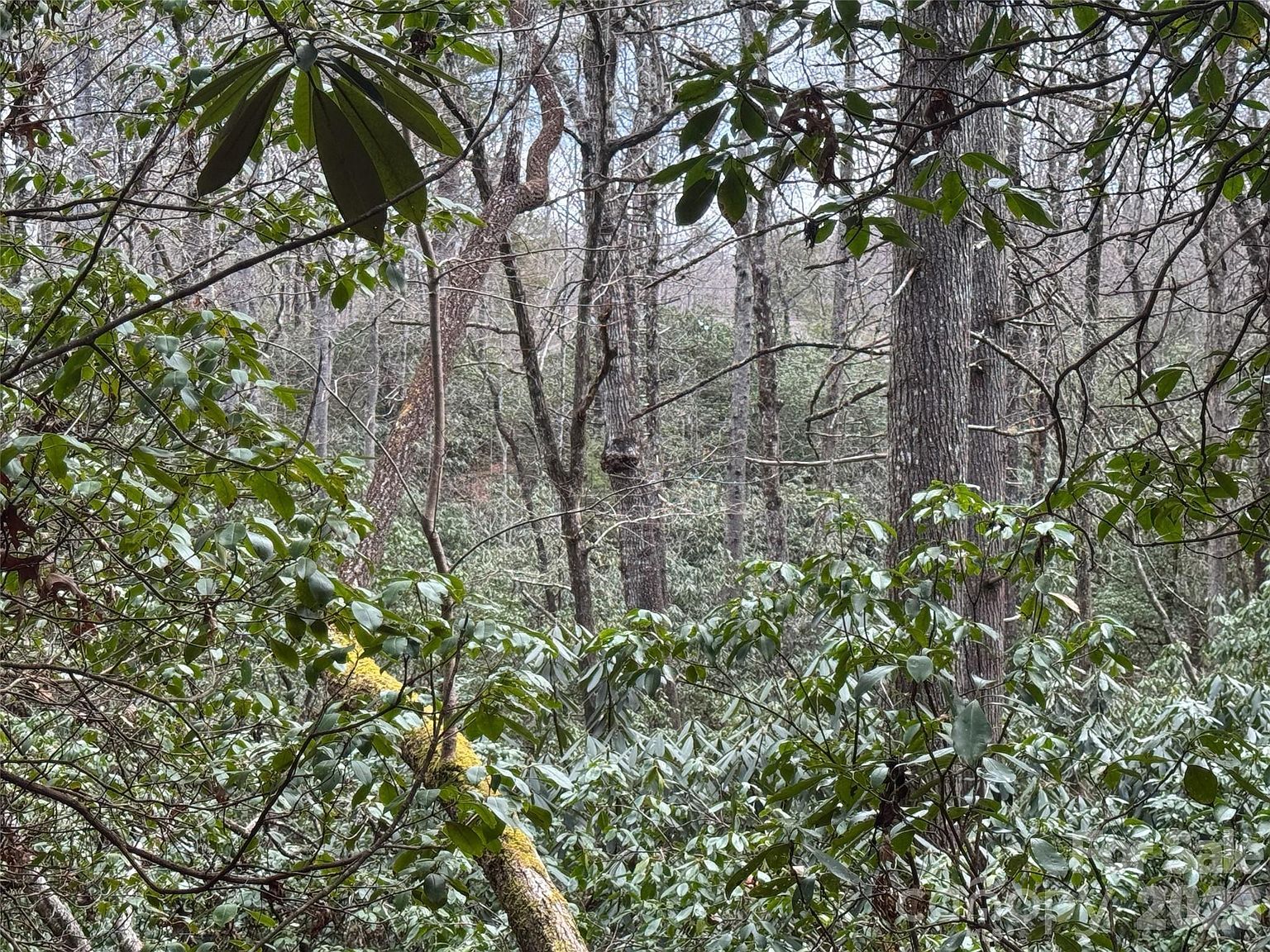 0 Falls Creek Ct Pisgah Forest, NC 28768 - Thumbnail 5