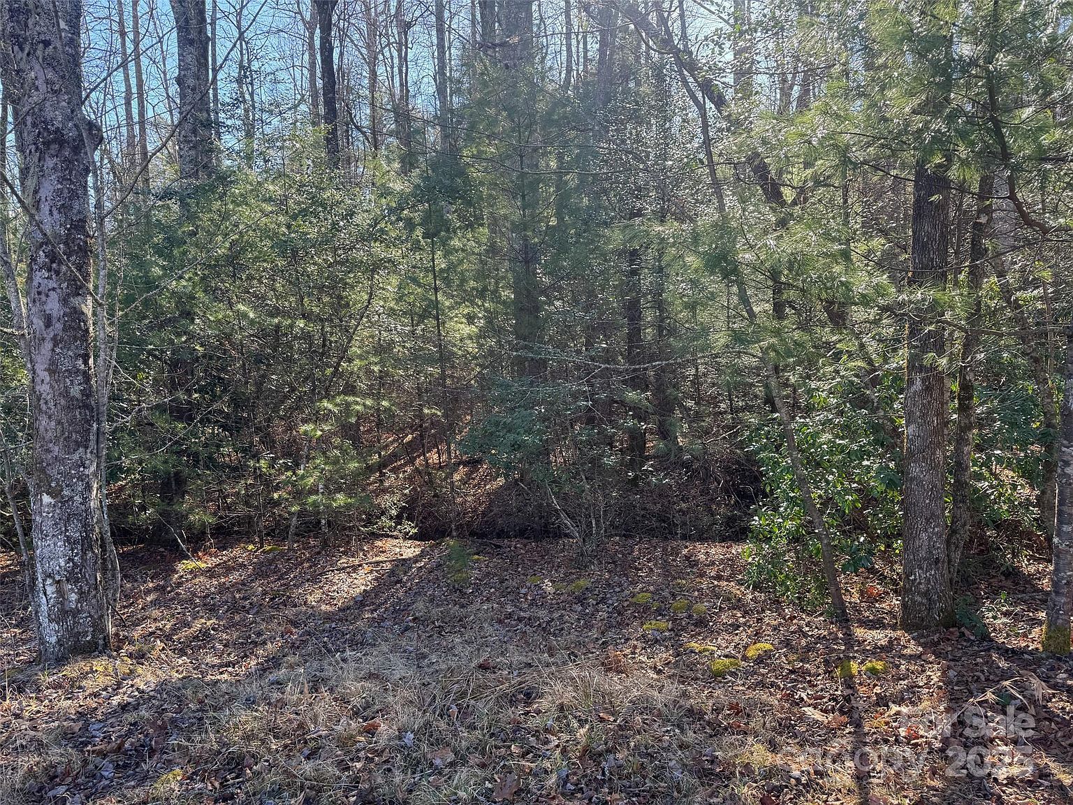 0 Small Creek Rd Brevard, NC 28712 - Thumbnail 5