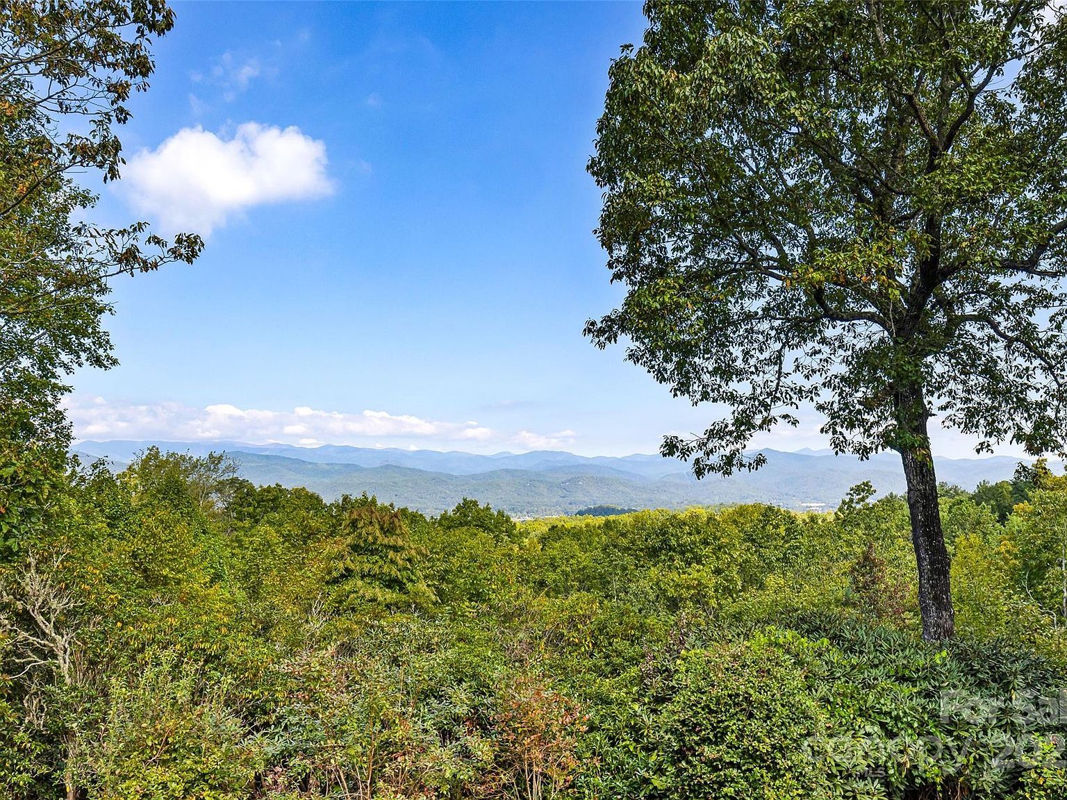 228 Double Falls Rd Pisgah Forest, NC 28768 - Thumbnail 5