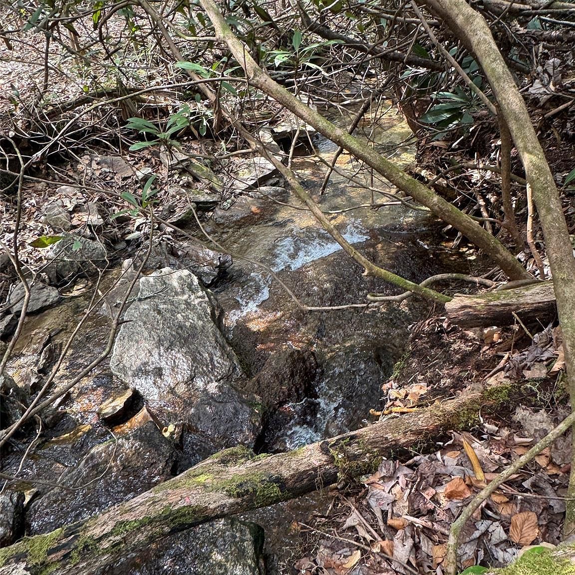 TRACT A Cherrywood Ln Pisgah Forest, NC 28768 - Thumbnail 5