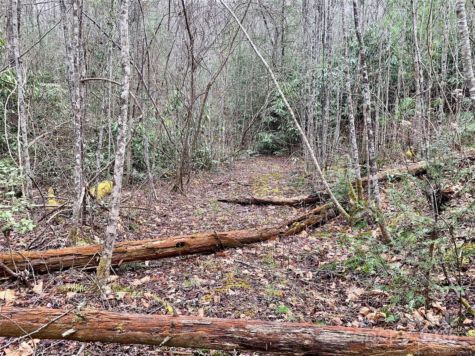 LOT 64 Peppervine Cir Rosman, NC 28772 - Thumbnail 5