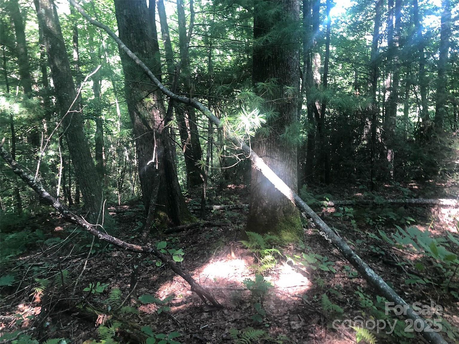 Peppervine Cir #94 Rosman, NC 28772 - Thumbnail 5