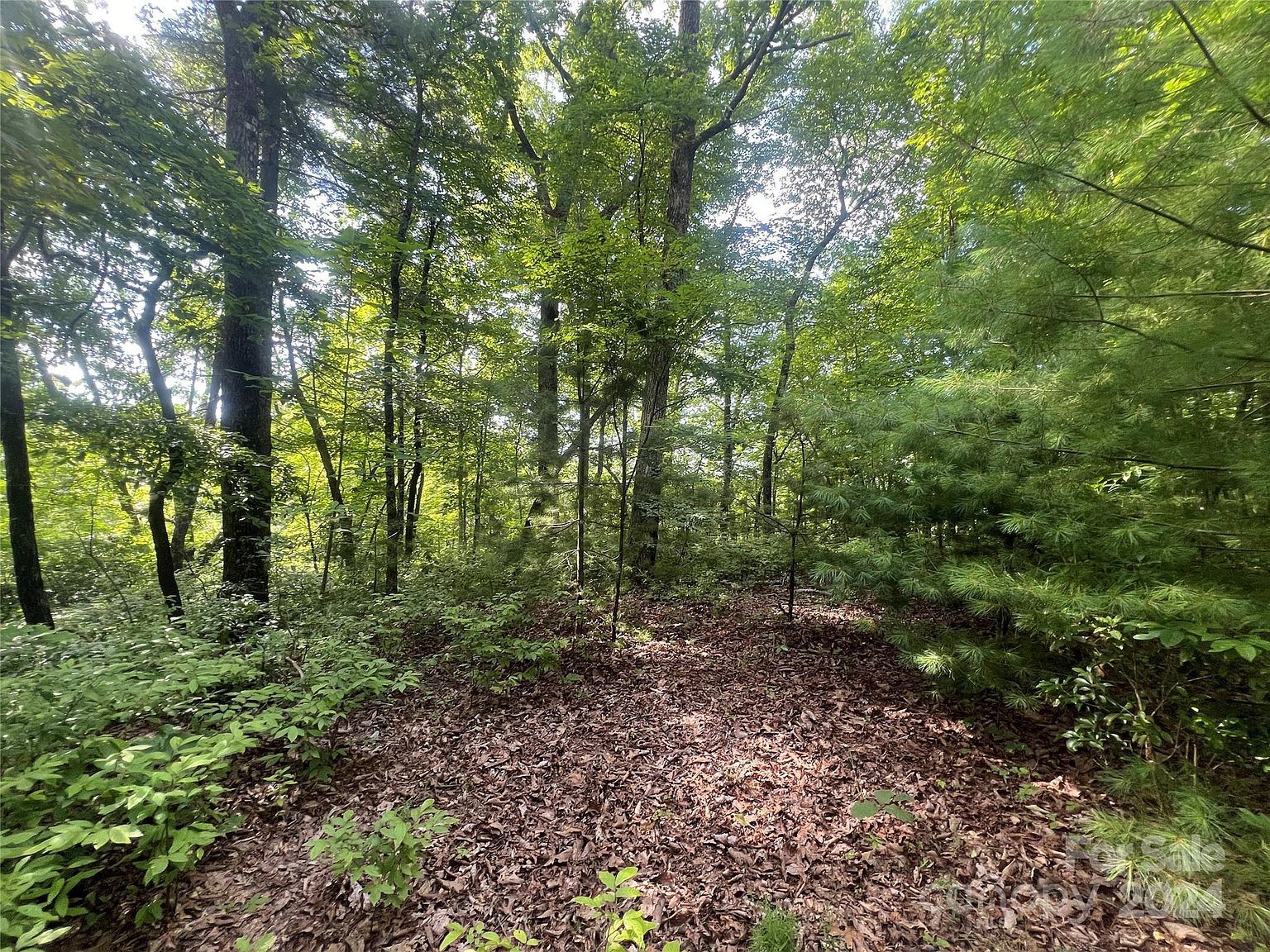 0 Laurel Thicket Brevard, NC 28712 - Thumbnail 5