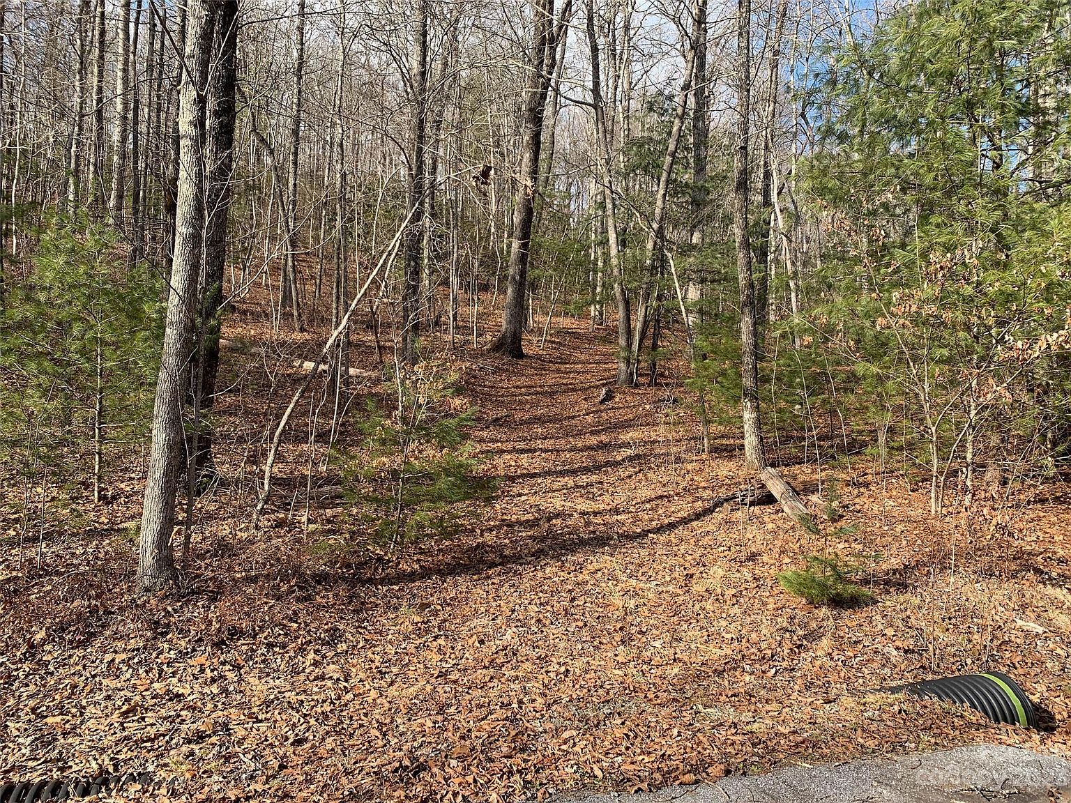 91 Laurel Thicket Brevard, NC 28712 - Thumbnail 5