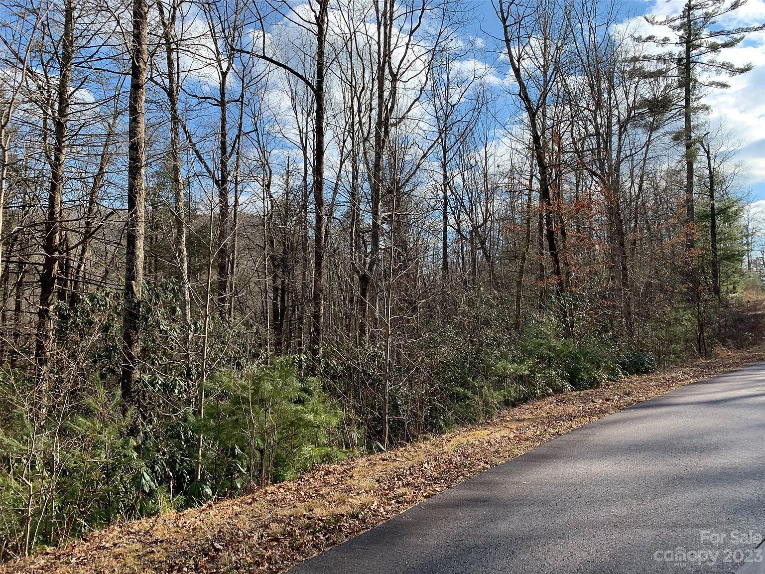 126 Green Hollow Ln Brevard, NC 28712 - Thumbnail 5