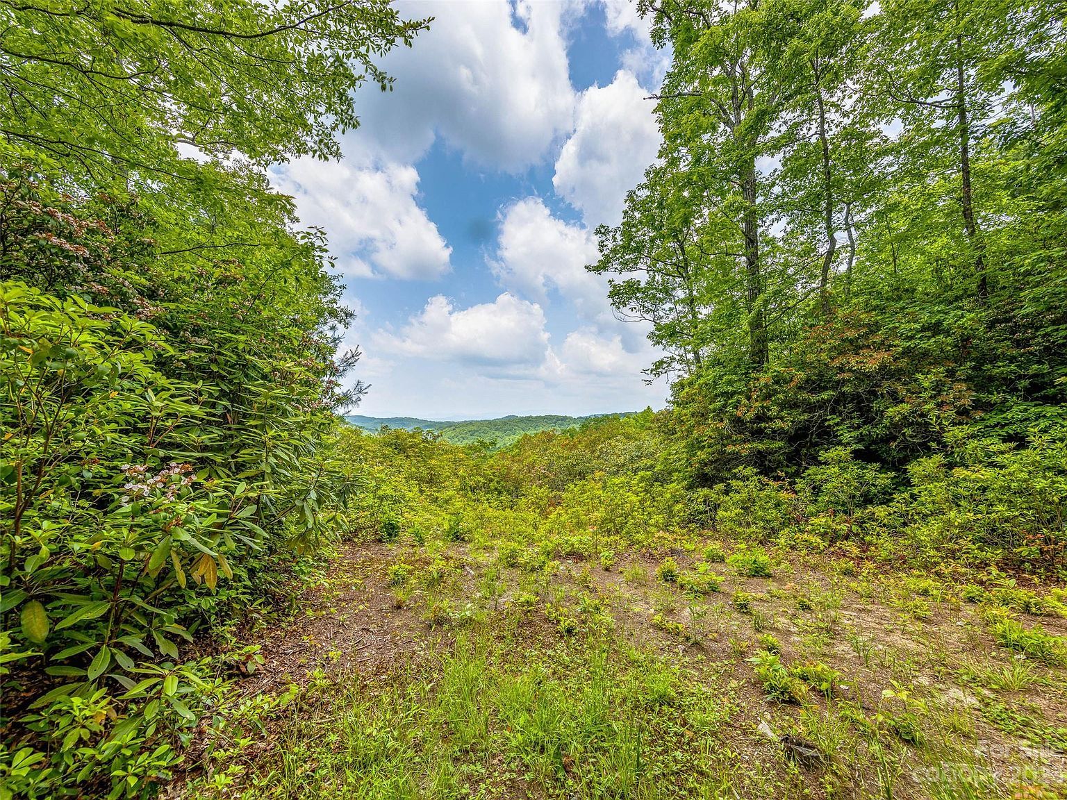 999 Big Hill Rd Brevard, NC 28712 - Thumbnail 5