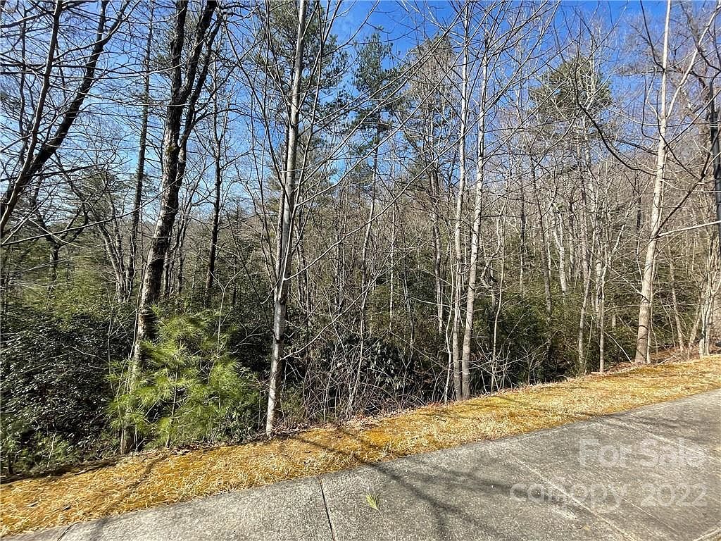 Sh11 Springhouse Trl Brevard, NC 28712 - Thumbnail 5