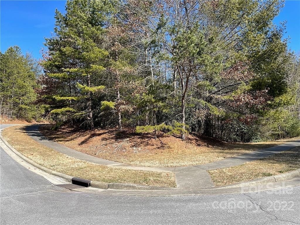 V30 Blueberry Hill Rd Brevard, NC 28712 - Thumbnail 5