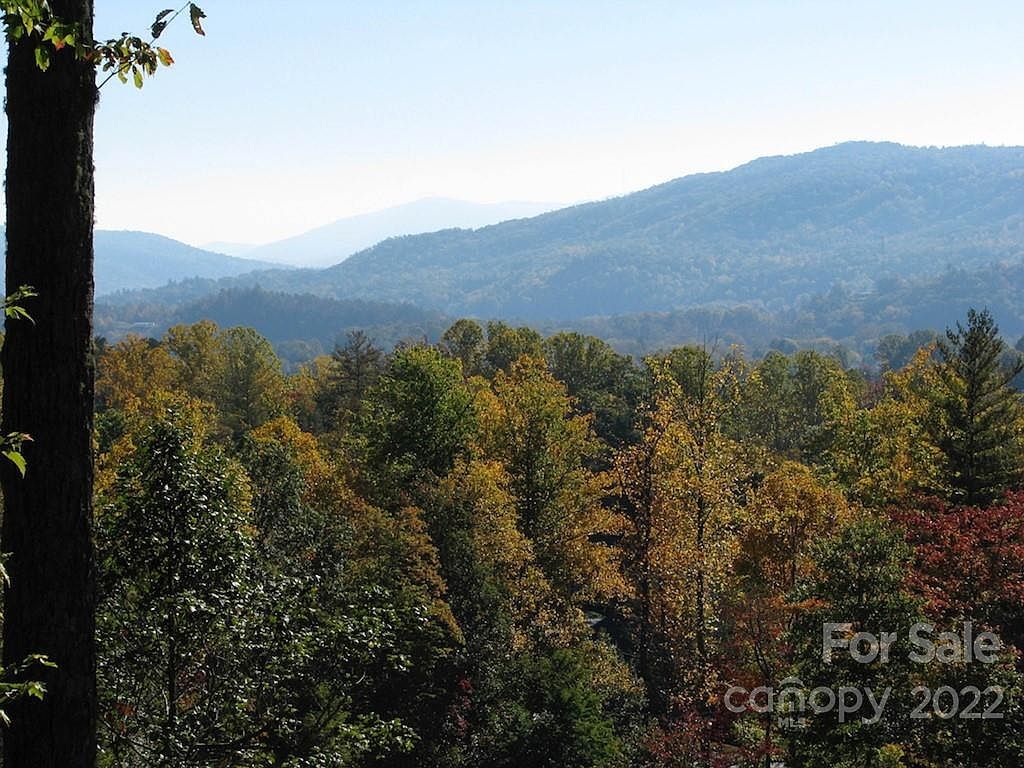 Pine Mountain Trl Brevard, NC 28712 - Thumbnail 5