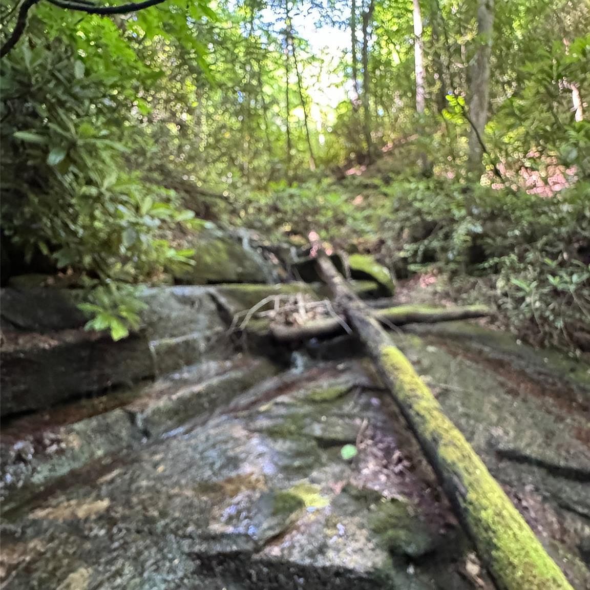 0 Chestnut Oak Ln Pisgah Forest, NC 28768 - Thumbnail 5
