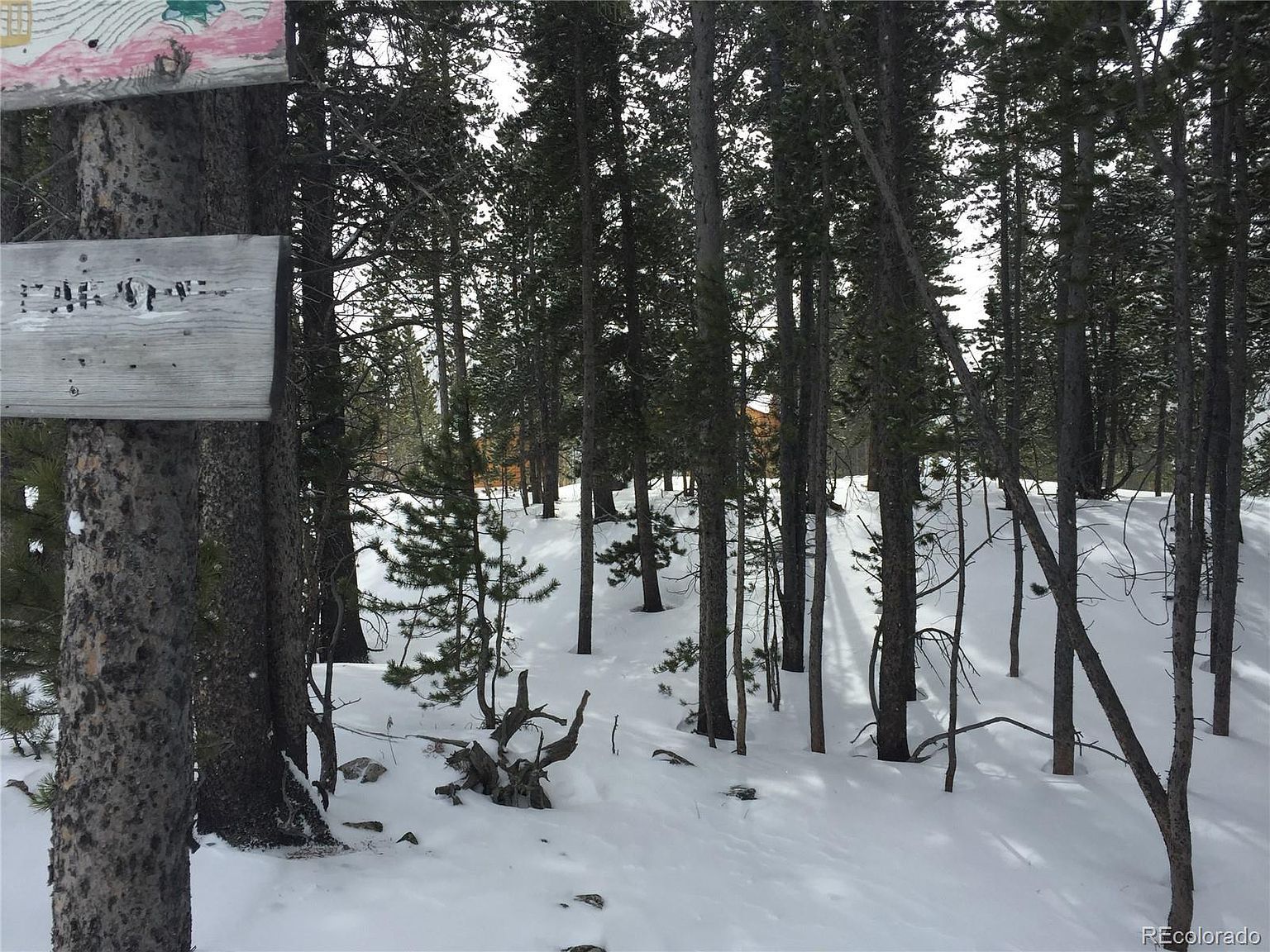 1090 Alice Rd Idaho Springs, CO 80452 - Thumbnail 5