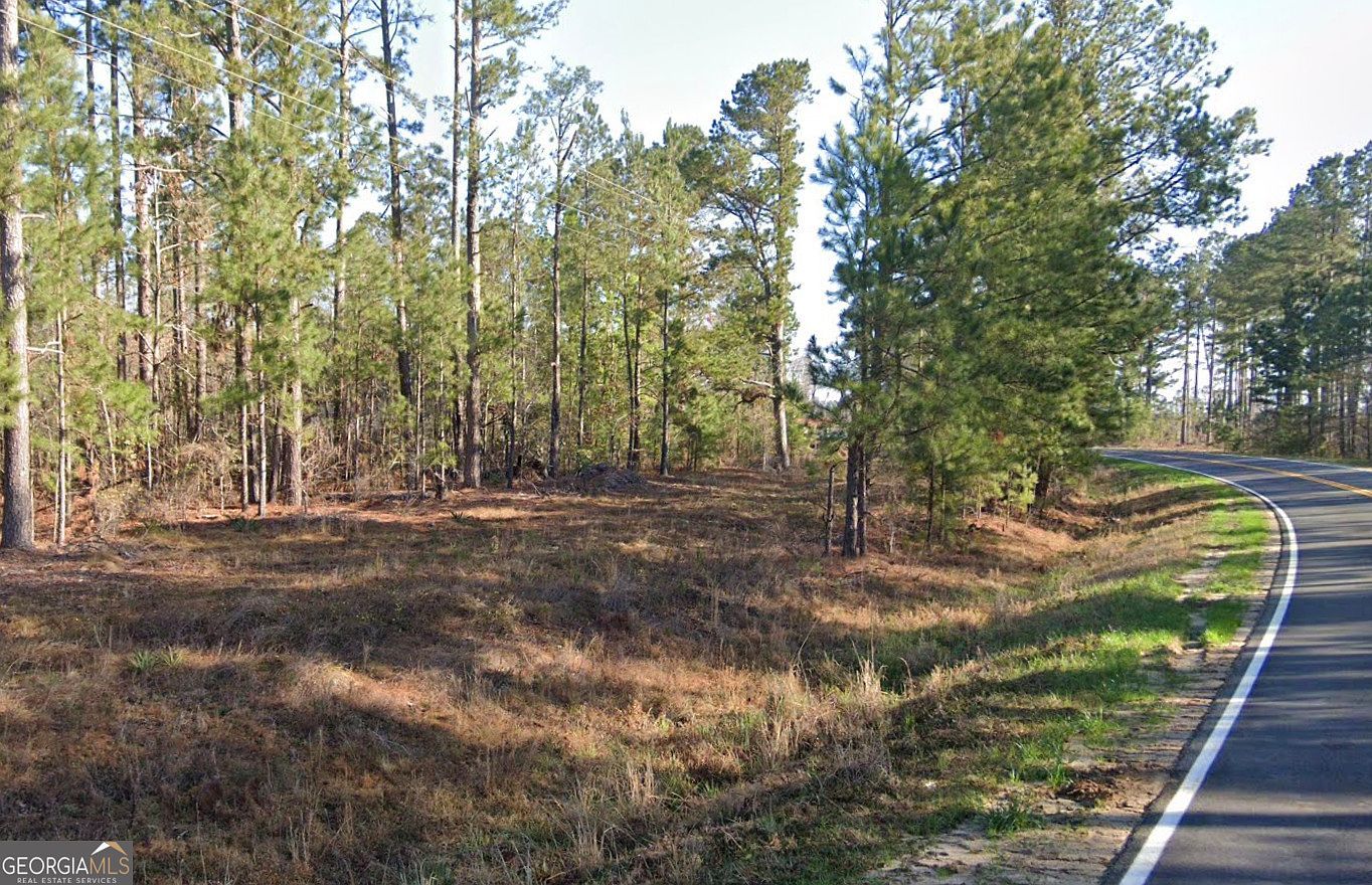 0 Wadley Coleman Lake Rd Midville, GA 30441  | Land/Lot