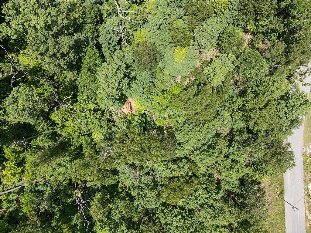 Kirkcolm Cir #6 Bella Vista, AR 72715 - Thumbnail 5