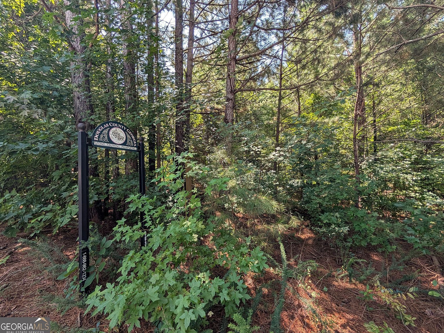 0 Brookmont Pkwy Douglasville, GA 30135 - Thumbnail 5